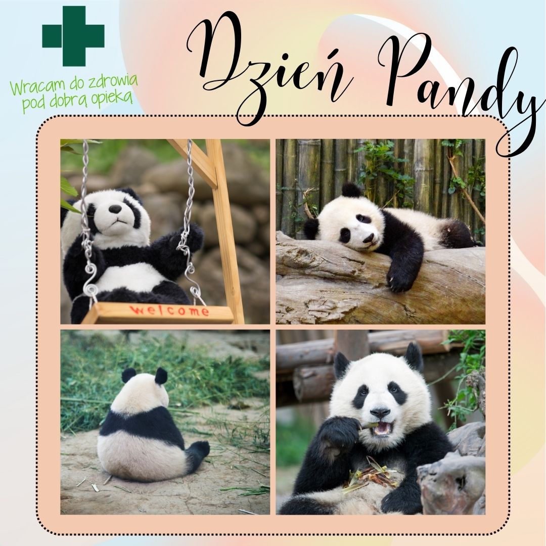 Światowy Dzień Pandy Wielkiej
