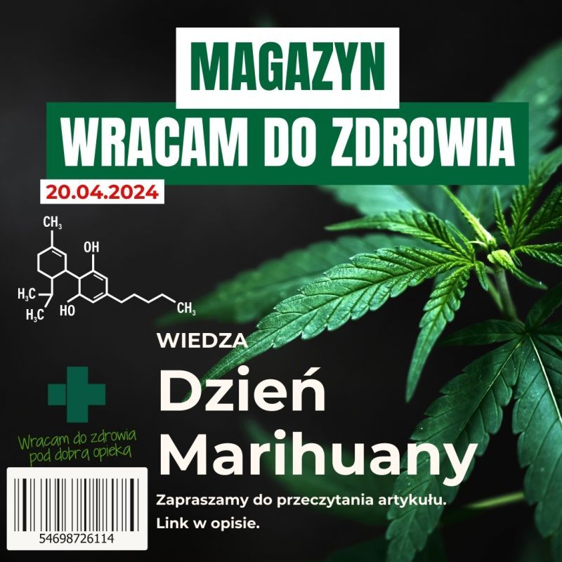 Medyczna marihuana dla chorych- jakie są jej perspektywy?