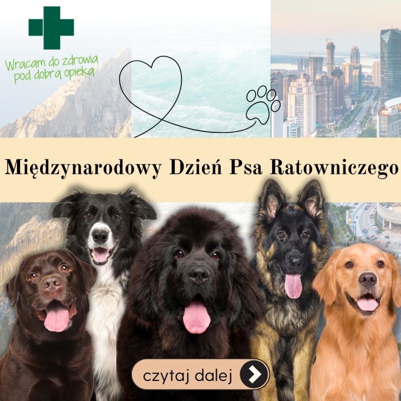 Międzynarodowy Dzień Psa Ratowniczego – 28 kwietnia