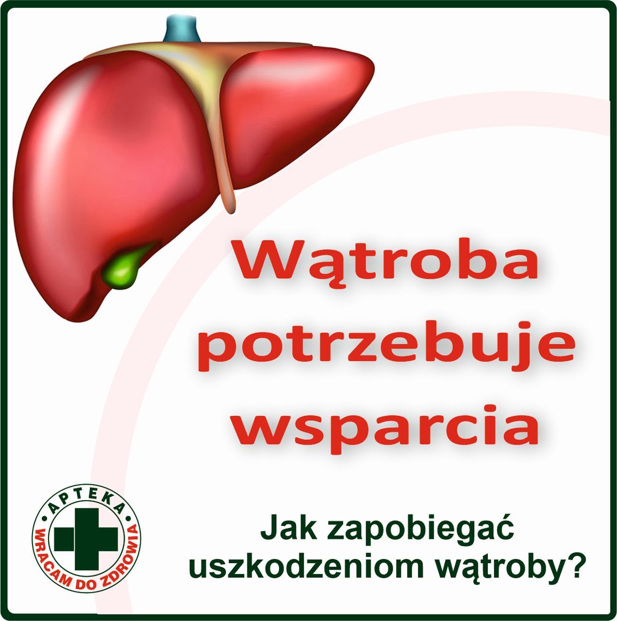 Wątroba potrzebuje wsparcia - jak zapobiegać uszkodzeniom wątroby
