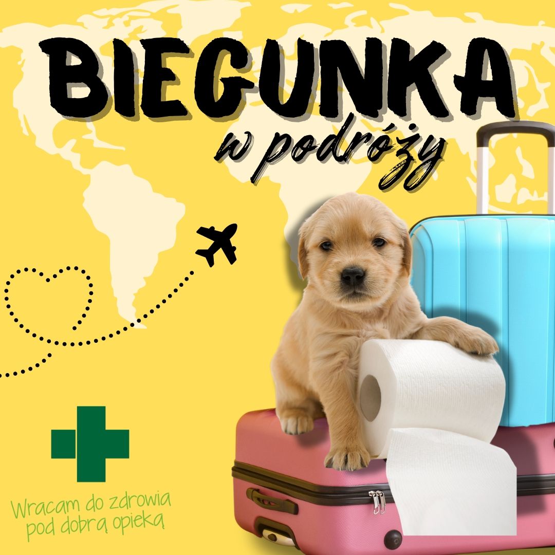 Biegunka w podróży