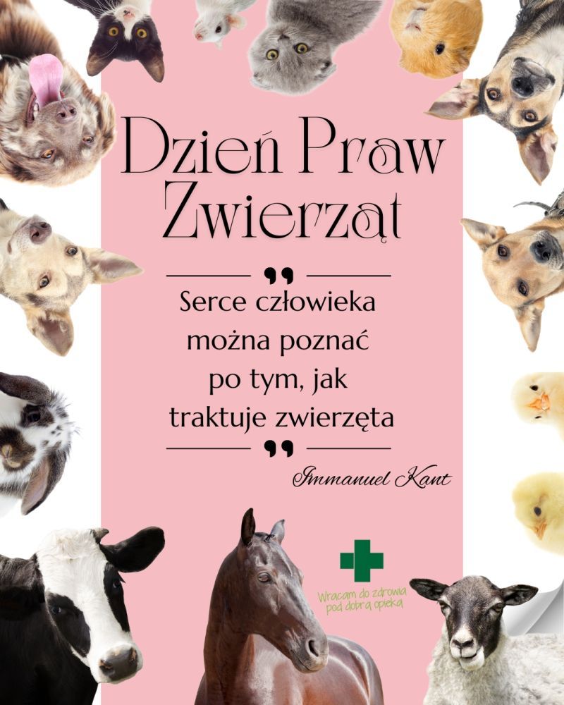 Dzień Praw Zwierząt